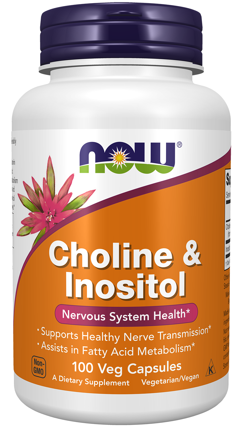Now Foods Choline + Inositol 250mg