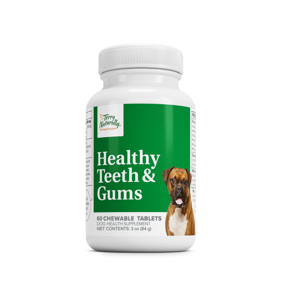 Terry Naturally Animal Health Healthy Teeth and Gums chewable tablets for dogs