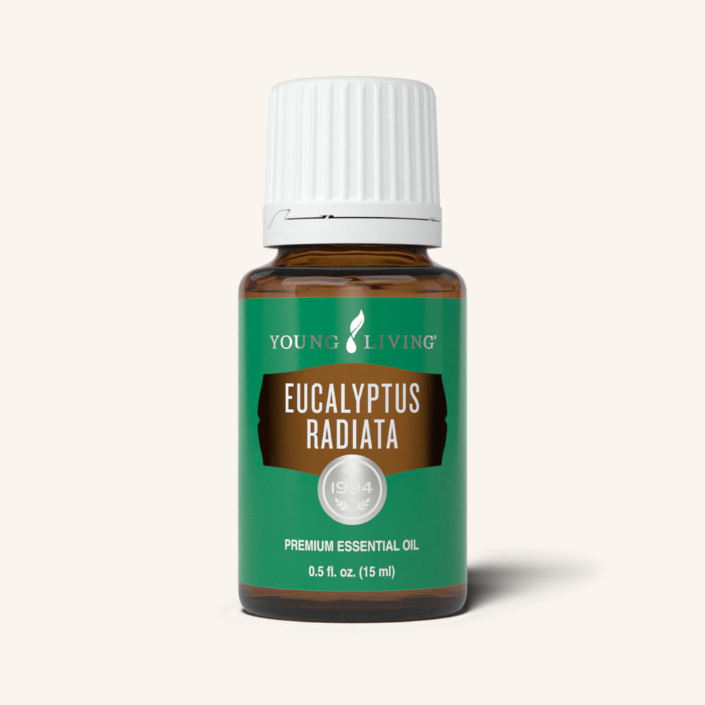 Eucalyptus Radiata, 15 ml