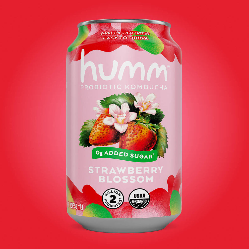 Humm Kombucha Organic Strawberry Blossom 12 oz can