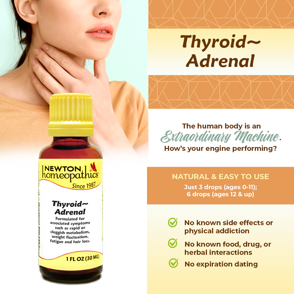 Newton Homeopathics Thyroid Adrenal
