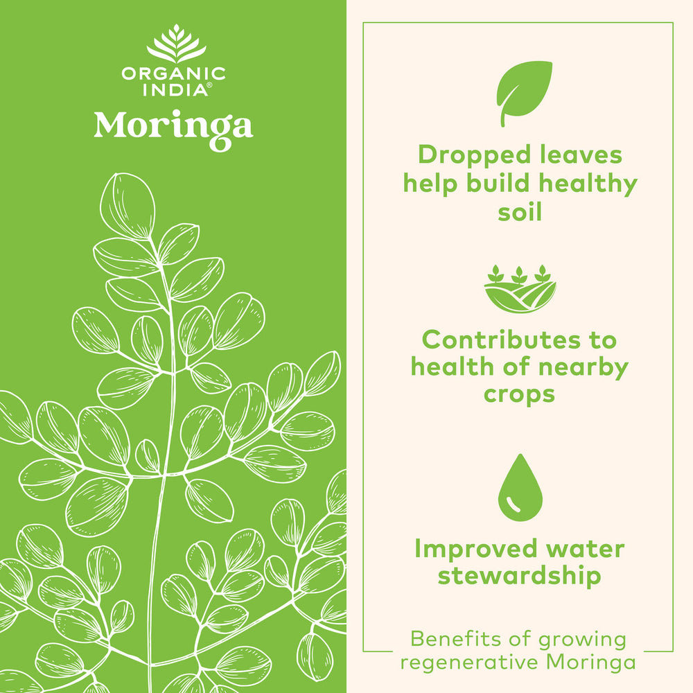 Organic India Organic Moringa Powder 8 oz