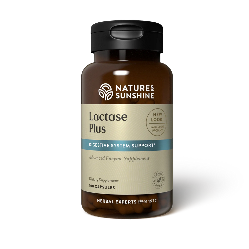 Lactase Plus