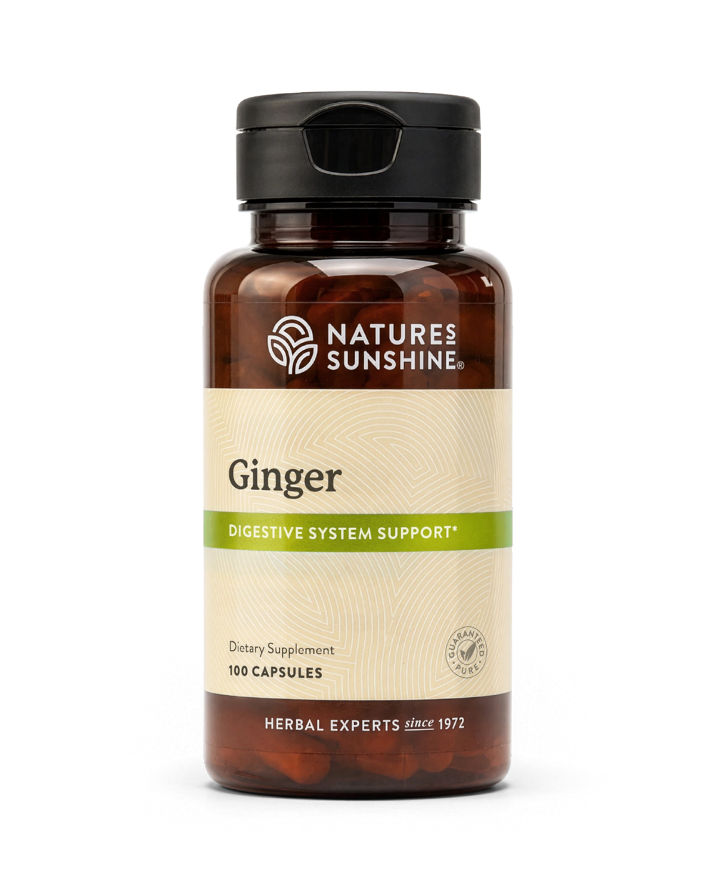 Nature's Sunshine Ginger bottle