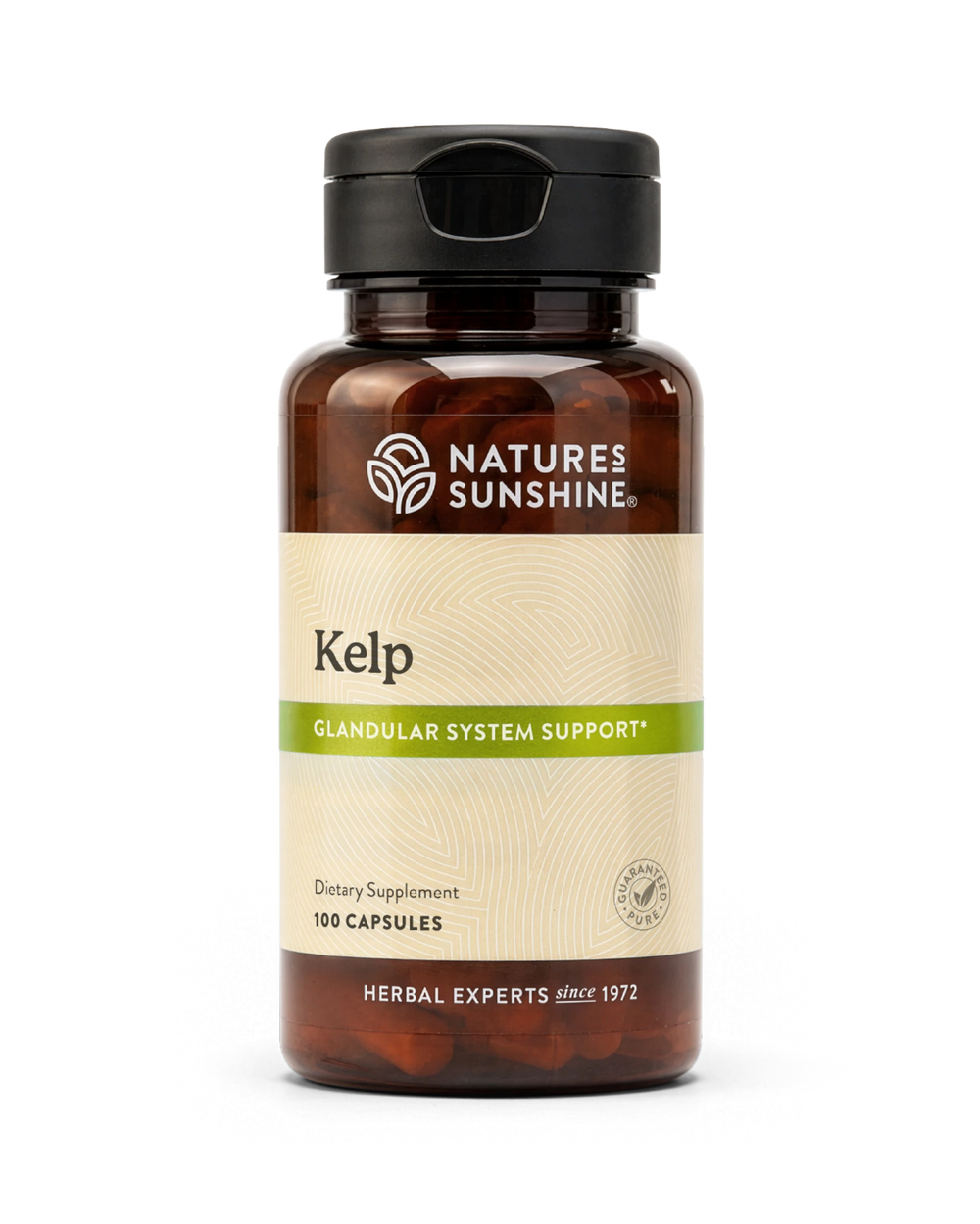 Nature's Sunshine Kelp bottle